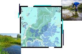 course thumbnail