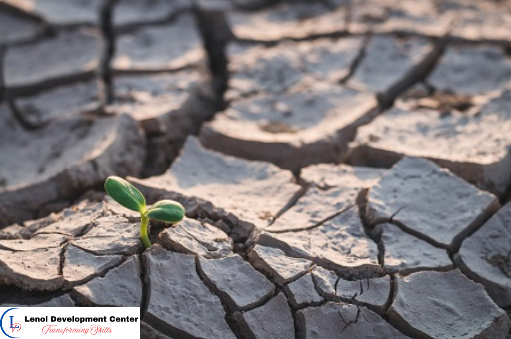 Climate Change Risk Assessment and Scenario Planning Training Course