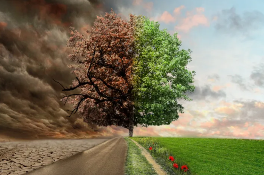 Climate Change Adaptation Policy and Governance Training Course